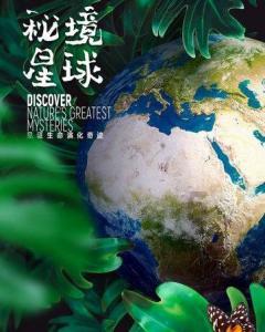 郸城联社吴台信用社:奋战一季度 夺取开门红