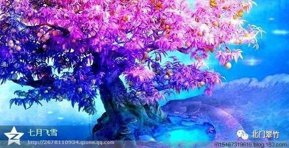 旗帜的传说2